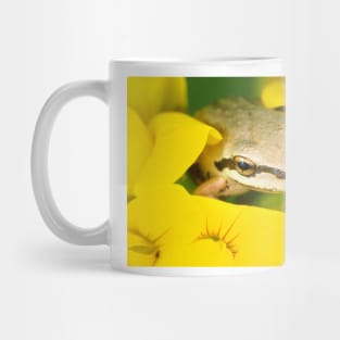 Tiny Pacific tree frog (Pseudacris regilla) sitting in a flower Mug